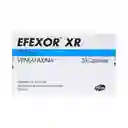Efexor Xr (37.5 mg)
