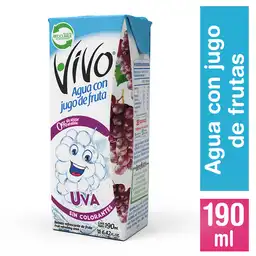 Vivo Agua con Jugo de Fruta Sabor Uva