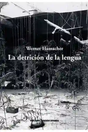 La Detricion de De la Lengua