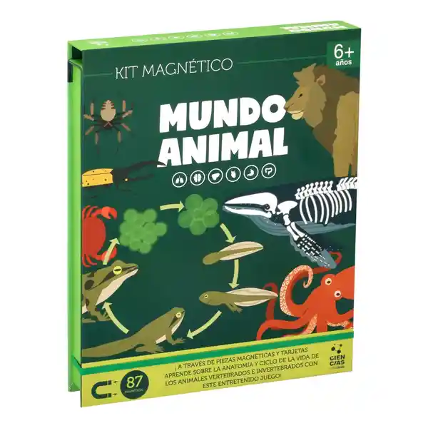 Kit Juguete Magnéticos Mundo Animal