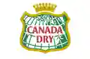 Canada Dry Bebida Gaseosa Ginger Ale Zero