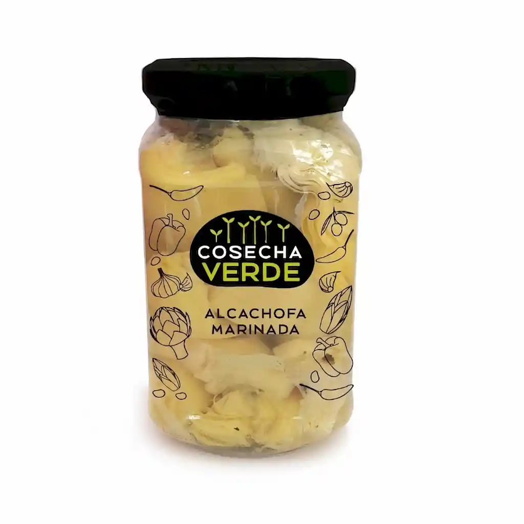 Cosecha verde Alcachofa Marinada