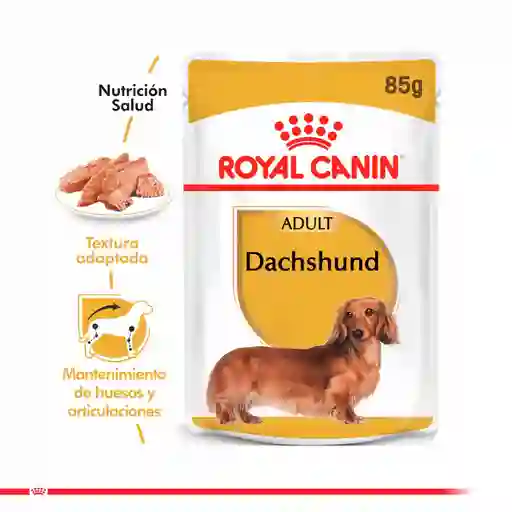 Royal Canin Alimento Para Perro Dachshund Adulto
