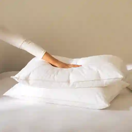 Almohada Sensación Plumas 50 x 90 cm Casaideas