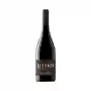 Salvaje Vino Syrah Roussanne