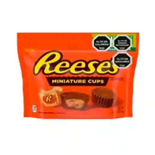 Reesses Chocolate Mini