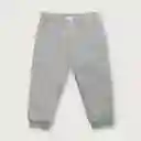 Pantalón Buzo de zo Esencial Niño Gris Talla 4A Opaline