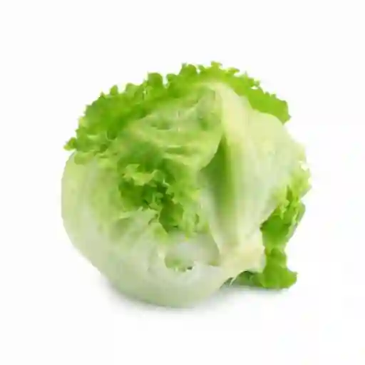 Lechuga Escarola