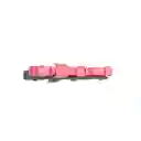 Zeecat Collar Neopro Bubblegum