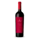 Carmen Delanz Vino Tinto Alto Jahuel 750 cc