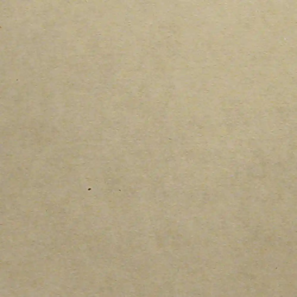 Carton Europa Gris 2.00Mm 55X77(140664)