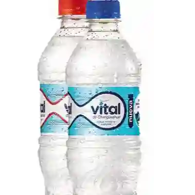 Agua Vital 600 ml
