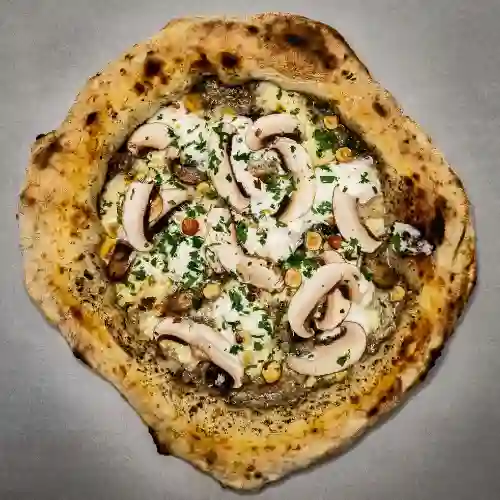 Tartufo E Funghi