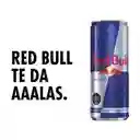 Red Bull Bebida Energética, 250 ml (12 latas)