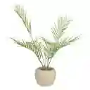 Maceta de Concreto Con Planta 63.5 cm Casaideas