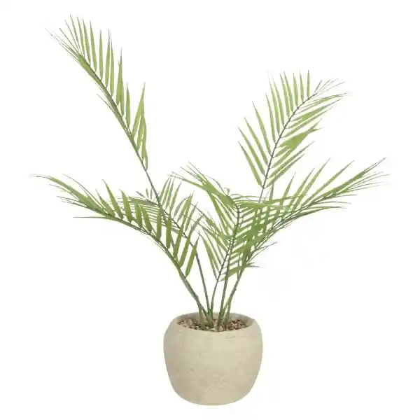 Maceta de Concreto Con Planta 63.5 cm Casaideas