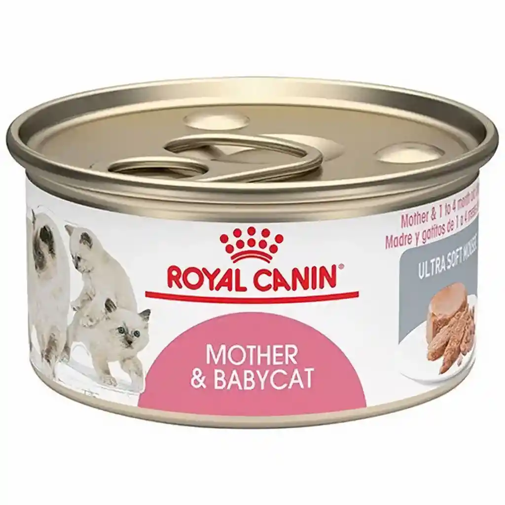 Royal Canin Alimento para Gato Mother & Babycat