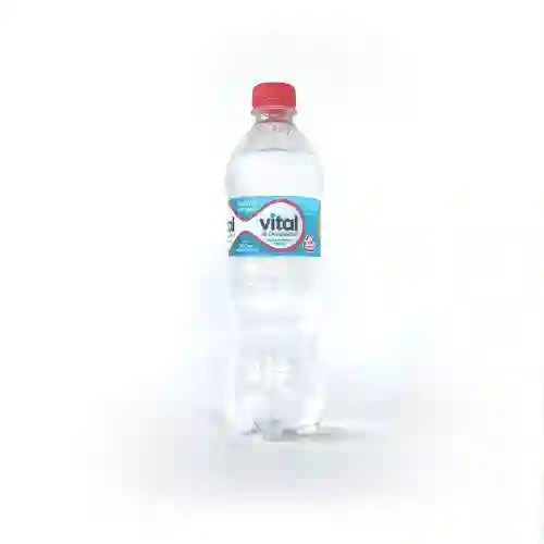 Agua Sin Gas 500 ml