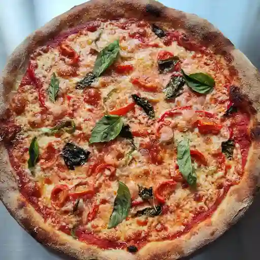 Costa bella mediana 32cm.