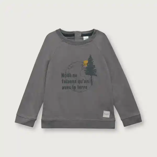 Polera Manga Raglan de Niño Gris Talla 12M Opaline