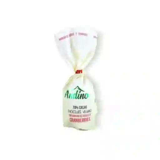Andino Chocolate Vegano Chocoteja Cranberry