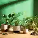 Maceta de Concreto Con Planta 63.5 cm Casaideas