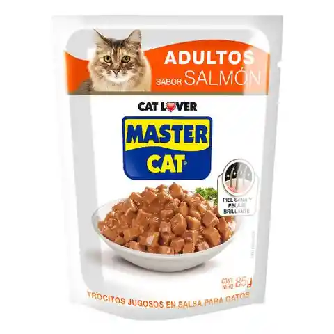 Mastercat Alimento Húmedo para Gatos Adultos Salmón en Salsa