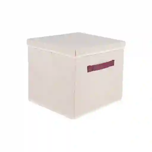 Miniso Organizador Con Tapa
