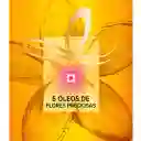 Loreal Paris-Elvive Shampoo Nutrición Óleo Extraordinario para Cabello Seco