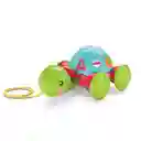 Fisher Price Juguete Didáctico Tortuga de Aprendizaje