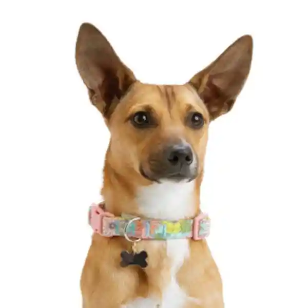 Youly Collar Ajustable Floreado Rosa Con Broche Para Perro Chico