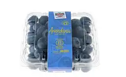 Hortifrut Arandanos Hortifrut 125g