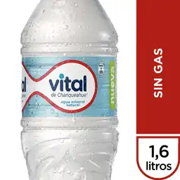 Vital Agua Mineral Sin Gas 