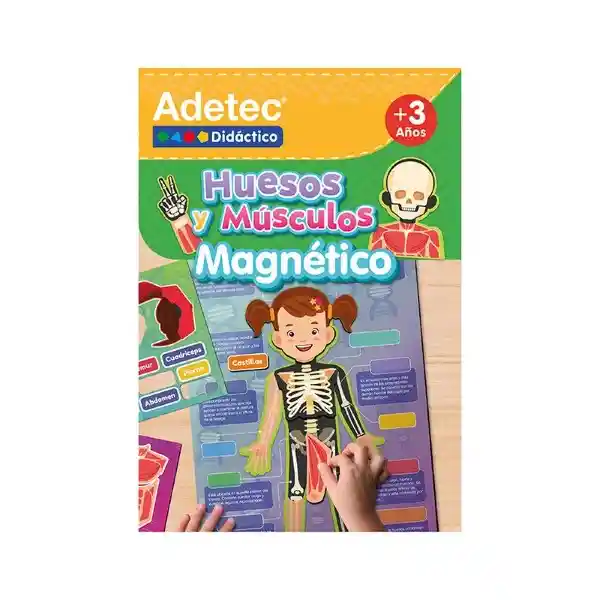 Huesos y Músculos - Lam Mag Inte Adetec