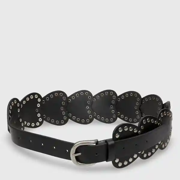 Index Cinturón Icintu Multi 1 PV25