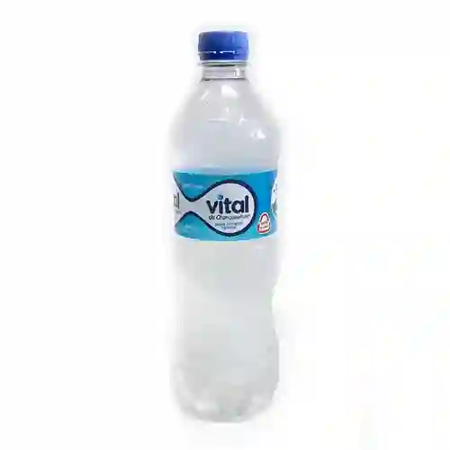 Vital 600 Cc