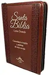 Biblia Marrón RVRO56CLGPJRZTI