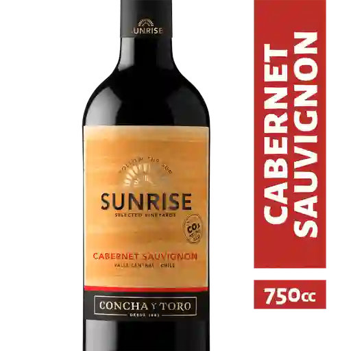 Concha Y Toro Vino Cabernet Sauvignon Sun C Bot