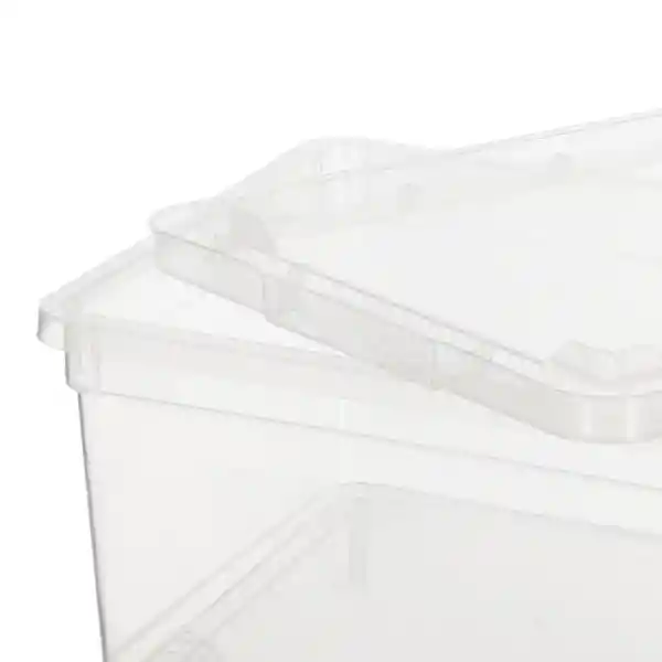 Set de Caja de Plástico Pp Con Tapa 2 L