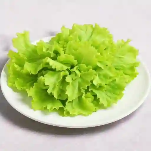 Lechuga