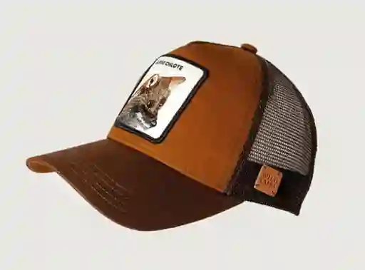 Wild Lama Gorra Jockey Zorro Brown