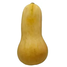 Zapallo Butternut Orgánico Frutas