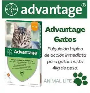 Advantage Desparasitante para Gatos en Pipeta