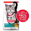 Hills Pet Nutrition Alimento Para Gato Indoor Adult 1-6 1.58 Kg