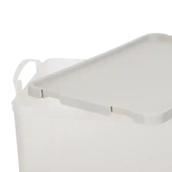Caja Plástica Con Tapa 12 L