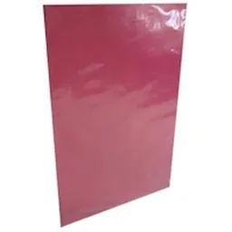 Carpeta Plastificada Fucsia