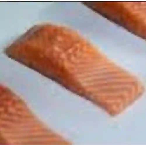 Salmon