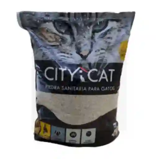 City Cat Arena