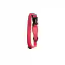 Zee.Dog Collar Neon Coral Extra Small