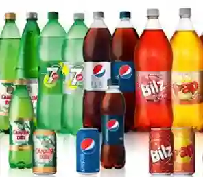 Bebidas de Dos Litros